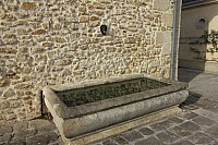 Thumbnail of IMG_3198.jpg