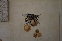 Thumbnail of IMG_3249.jpg