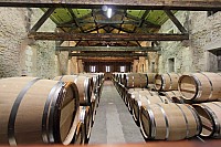 Thumbnail of IMG_3270.jpg