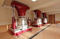 Thumbnail of IMG_3290.jpg