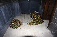Thumbnail of IMG_3380.jpg