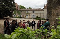 Thumbnail of IMG_002.JPG