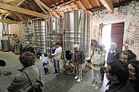 Thumbnail of IMG_048.JPG
