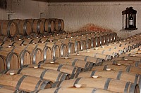Thumbnail of IMG_069.JPG