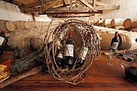 Thumbnail of IMG_081.JPG