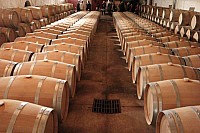 Thumbnail of IMG_088.JPG