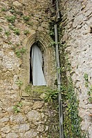 Thumbnail of IMG_3052.jpg