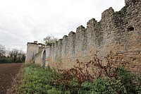 Thumbnail of IMG_3054.jpg