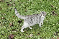 Thumbnail of IMG_3055.jpg