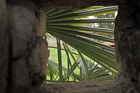 Thumbnail of IMG_3056.jpg