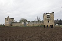 Thumbnail of IMG_3071.jpg