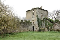 Thumbnail of IMG_3074.jpg