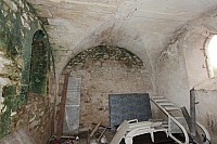 Thumbnail of IMG_3081.jpg