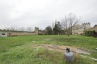 Thumbnail of IMG_3085.jpg