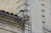 Thumbnail of IMG_3110.jpg