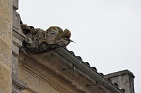 Thumbnail of IMG_3111.jpg