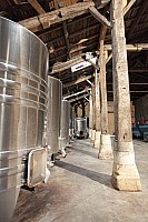 Thumbnail of IMG_3135.jpg