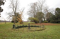 Thumbnail of IMG_3146.jpg