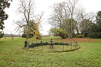 Thumbnail of IMG_3147.jpg