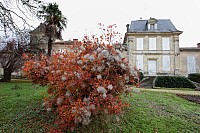 Thumbnail of IMG_3153.jpg