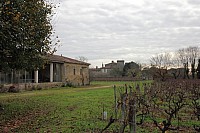 Thumbnail of IMG_3154.jpg