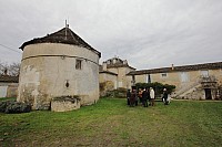 Thumbnail of IMG_3163.jpg
