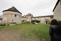 Thumbnail of IMG_3173.jpg