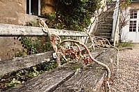 Thumbnail of IMG_3174.jpg