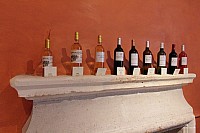 Thumbnail of IMG_3176.jpg