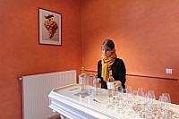 Thumbnail of IMG_3177.jpg