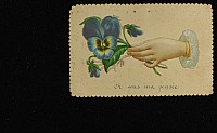Thumbnail of CP_0195.jpg