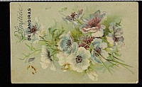 Thumbnail of CP_0350.jpg