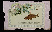 Thumbnail of CP_0412.jpg
