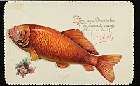 Thumbnail of CP_0630.jpg