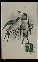 Thumbnail of CP_1116.jpg