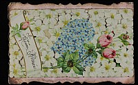Thumbnail of CP_1222.jpg