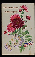 Thumbnail of CP_1469.jpg