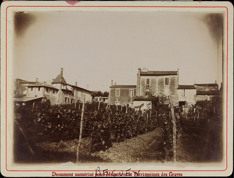 Beguey_022.jpg