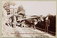 Thumbnail of Personnages_003.jpg