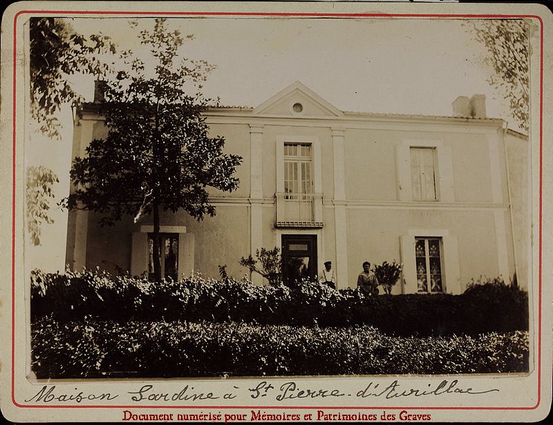 St-Pierre-Aurillac-Sardine_164.jpg