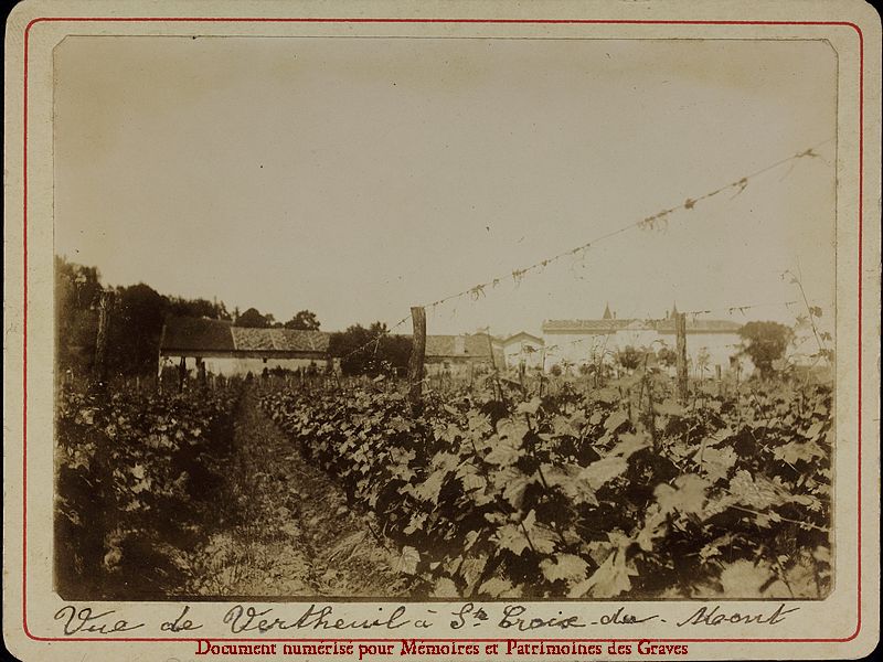 Ste-Croix-du-Mont-Vertheuil_174.jpg