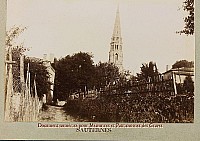 Thumbnail of Sauternes_012.jpg