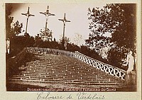 Thumbnail of Verdelais_035.jpg