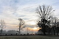 Thumbnail of IMG_9155.jpg