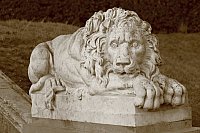 Thumbnail of IMG_9283.jpg