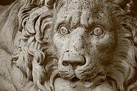 Thumbnail of IMG_9284.jpg