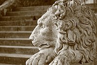 Thumbnail of IMG_9286.jpg