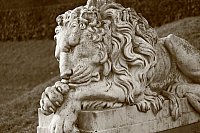 Thumbnail of IMG_9287.jpg