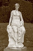 Thumbnail of IMG_9288.jpg