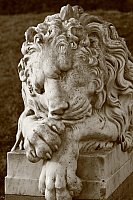 Thumbnail of IMG_9290.jpg